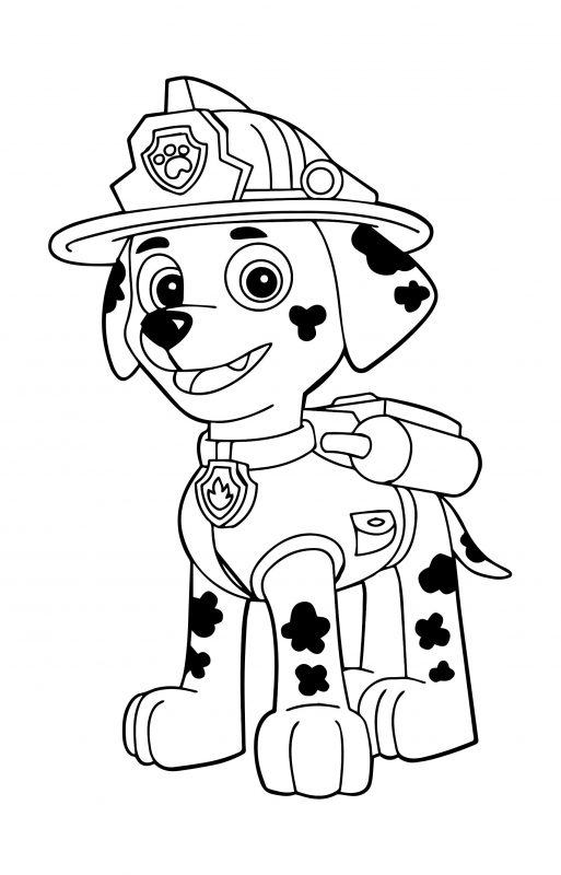 Coloriage Coloring Pat' Patrouille Paw Patrol Stella Skye Super chien super-pups