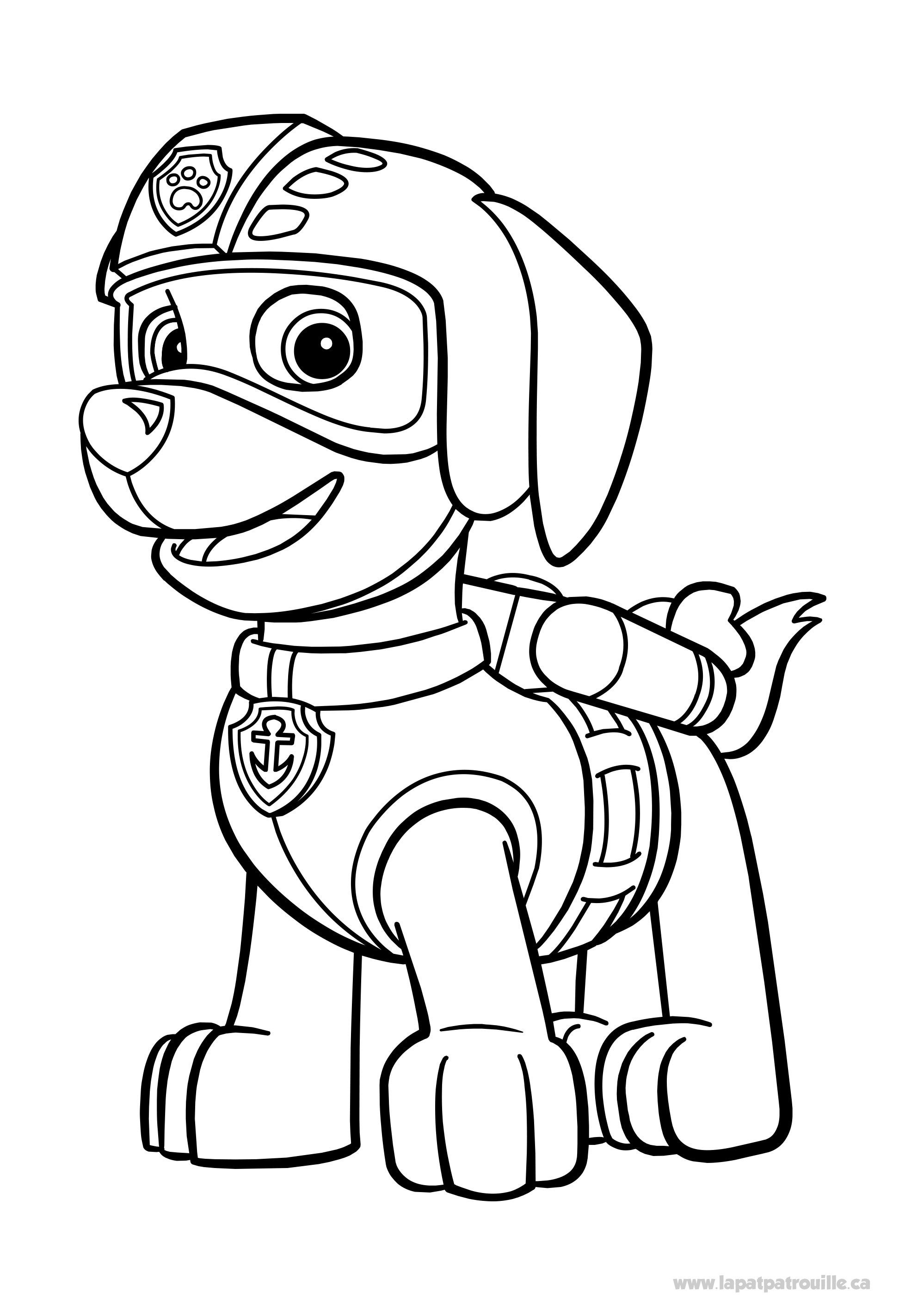 Pat Patrouille : Zuma - Coloriage Pat Patrouille pour enfants